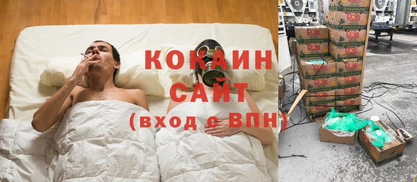 сатива Балахна