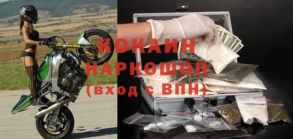 сатива Балахна
