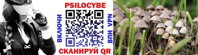 Псилоцибиновые грибы Psilocybine cubensis  Купить где  Старая Купавна 